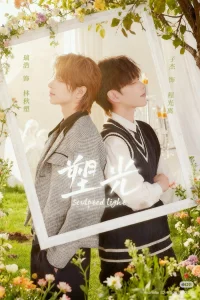 Скульптурный свет (2025)