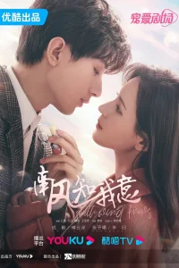 Южный ветер знает моё настроение (2023)