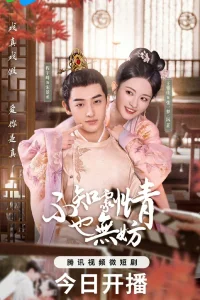 Знать сюжет необязательно (2024)