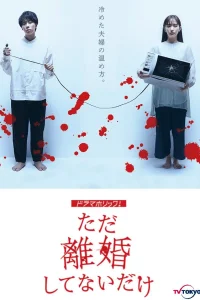 Мы просто не в разводе (2021)