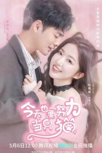 Моя любимая кошечка (2022)