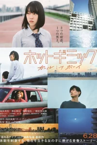 Уловки страсти: Девушка встречает парня (2019)