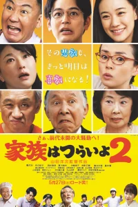 Какая прекрасная семья 2 (2017)