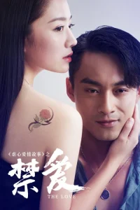 Запретная любовь (2016)